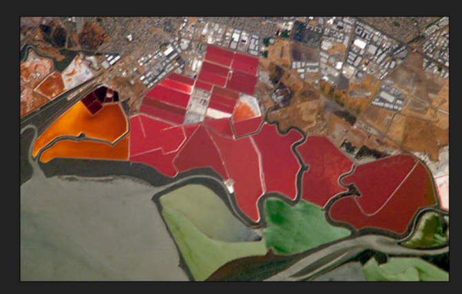 Salt Ponds of SF Bay