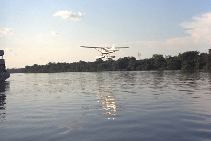 Beaver on the Amazon.jpg