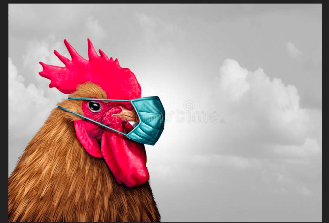 Chicken Mask.png