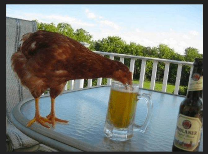 Rooster Ales.png
